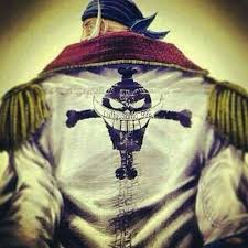 instagram photo by a n i m e hd may 8 2016 at 7 26pm utc one piece anime one piece fanart one piece manga