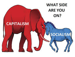 Image result for usa land of capitalists