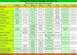 когда сажать сладкий перец на рассаду в 2019 году Lunnyj Posevnoj Kalendar Na 2019 God Kalendar Posadka Ogorod