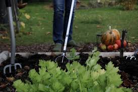Gemusebeete Winterfest Machen Garten Hochbeet Gruneliebe In 2020 Stauden Pflanzen Winterfest Machen Garten Hochbeet