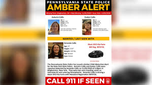 An amendment was signed by governor michael easley on june 12, 2003, renaming the nc can system the amber alert system. Missing New York Children Found Safe Amber Alert Canceled 6abc Philadelphia