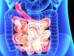 Vagus Nerve Stimulation Promising In Crohn S Disease