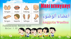 Bagian badan, bagian kepala, wajah, organ bagian dalam dan bagian anggota gerak lengakp tulisan arab, latin dan artinya. Anggota Wudhu Dalam Bahasa Arab Kelas 3 Sd Youtube