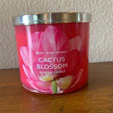 6 pcs different shaped succulent candles，vivid plant decoration total 12 pcs candles ,decorative candles in metal tealight holders. Bath Body Works Accents Bath Body Works Cactus Blossom 3 Wick Candle Poshmark