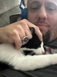 Hi guys meet my new cat Lizzie ❤️😍 Isn't she the cutest??❤️❤️