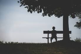 Buy people sitting on bench posters designed by millions of artists and iconic brands from all over the world. Person Sitting On Bench Under Tree Free Stock Photo