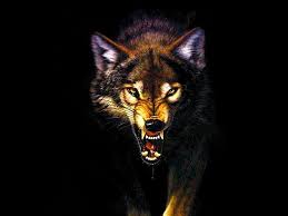 Support us by sharing the content, upvoting wallpapers on the page or sending your own background pictures. Angry Wolves Wallpaper Hd Anime Wallpaper Hd