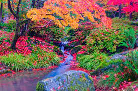 Momijigari, 紅葉狩り — Seattle Japanese Garden