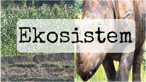 Ekosistem Ayo Belajar Biologi Youtube