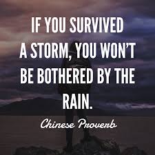 35 Wonderful Chinese Proverbs Storm Quotes Survival Quotes Positive Quotes
