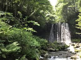 上田地域が誇る夏の避暑地「菅平高原」の魅力をお伝えします！ | じょうしょう気流