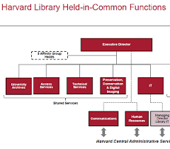 Harvard Library Releases Org Chart Offers Buyouts Library