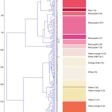 Rhs Colour Descriptions And Mean Values Of Rgb And Hs Colour