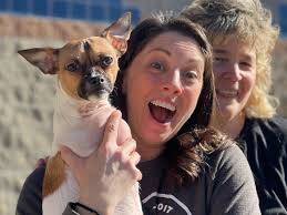 Raising awareness about special needs dogs, Puppy Bowl winner Joey is 'kind  of a big deal in Rhode Island'
