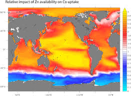 Jasmin park yasamal rayonunda qismət şadlıq sarayının yanında yerləşir. The Role Of External Inputs And Internal Cycling In Shaping The Global Ocean Cobalt Distribution Insights From The First Cobalt Biogeochemical Model Tagliabue 2018 Global Biogeochemical Cycles Wiley Online Library