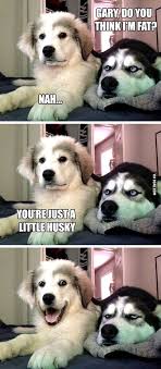 Funny animals memes that will make you smile having a mother of a day? Pin On Funny Relatable