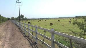 From 2011 to 2017 he served as governor of nayarit. Aseguran Rancho De Exgobernador Roberto Sandoval