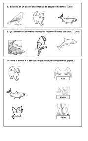 Ciencias Prueba Primer Ano Ciencia De Primer Grado Prueba De Ciencias Naturales Clasificacion De Animales