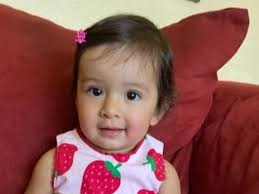 Fundraiser for Ramses Banuelos by Ramses Banuelos : Help our family get  Millie back home.