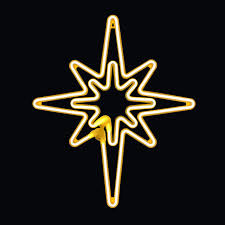 20 5 Inch Warm White Led Neon Rope Light Star Motif Birddog Lighting