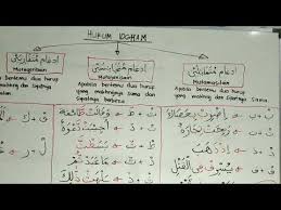 Idgham bighunnah artinya melebur diiringi dengan dengungan atau istilah lainnya yaitu memasukan salah satu huruf nun mati/tanwin ke dalam huruf idgham mimi adalah hukum bacaan yang terjadi apabila huruf mim mati bertemu dengan huruf mim. Hukum Idgham Mutamasilain Mutajanisain Mutaqaribain Youtube