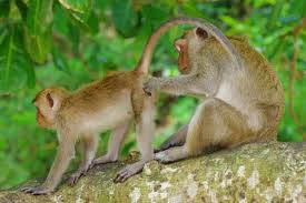 Unfortunately, being dependable is not alright, now let's talk about the origin of the proverb a friend in need is a friend indeed. the idea for this phrase has been around for thousands of years. A Friend In Need Is A Friend Indeed Geolino