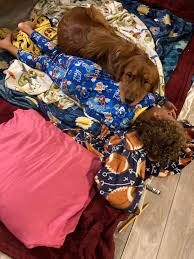 What does everyone do to combat shedding!? I'm drowning in it this month,  my kids are constantly brushing him and when they brush him they get a  whole pile of fur but