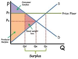 Price Floor Graph Shaded Economics Notes Flooring High School Teacher