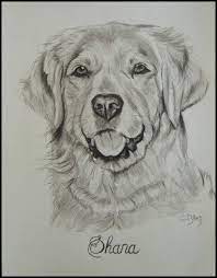 cindy barillet artiste animalier dessin de chien au fusain artisanat presto dots cupcake coloriage