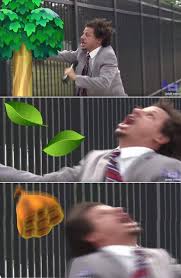 Download most popular gifs on gifer. Suddenly A Wasp Nest Falls Down From A Tree Let Me In Know Your Meme