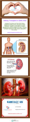 Transplant Counsellor Has Fast Best Kidney Transplant Hospital In India Best Doctor Latest Equipment Is Available I Kidney Transplant Hospital Transplant