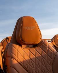 Image result for Magneto Bronze 2024 Aston Martin