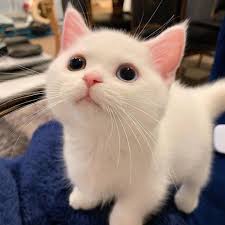 Every Now And Then I Am Reminded That Artists/writers/creators I Admire  Very Much Follow Me Here And