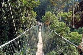 Bus or shuttle services are available from kuala lumpur, cameron highlands and kuala besut jetty, perhentian islands to taman negara vice versa. Tripadvisor Day Trip To Taman Negara National Park Of Malaysia Provided By Seri Malaya Travel And Tours Day Tours Kuala Lumpur Wilayah Persekutuan