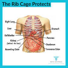 Malaria findings about test name: The Rib Cage The Rib Beth Jefferies Therapy Facebook