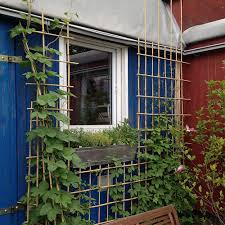 Er kann als sichtschutz für die terrasse dienen sowie für moderne häuser empfehlen sich vor allem rankgitter aus metall, besonders edelstahl. Rankgitter Und Sichtschutzelemente Mit Bambusstaben Selber Bauen Native Plants