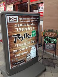 Diario En Japon Cafe De Buhos Y Lechuzas En Asakusa Toutes les commandes passées sur notre boutique en ligne lechuza entre le pots et balconnières intégrant le système d'irrigation intelligent avec réserve d'eau de lechuza. cafe de buhos y lechuzas en asakusa