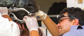 TEACH ANNUAL REVIEW 2014