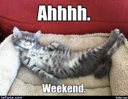 Image result for it's the weekend meme