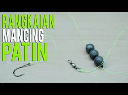 We did not find results for: 3 Rangkaian Pancing Untuk Mancing Ikan Patin Sungai Youtube