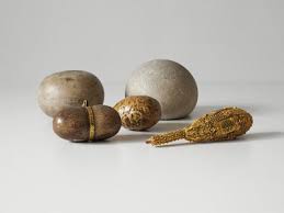 Image result for Bezoar