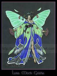 Luna Moth Geisha Luna Moth Fairy Art Moth