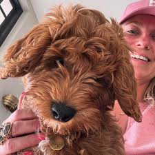 Pauline Wingelaar added a new photo.