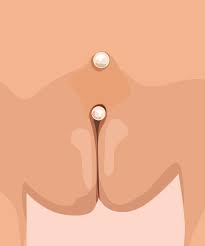 Vagina Piercing Information - What To Know Piercer FAQs