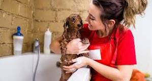 Image result