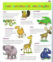 Animaux Sauvages Animaux Sauvages Animaux Documentaire Animaux N'hésitez pas à me contacter par message ou en utilisant le bouton demande de si l'article retourné ne se trouve pas dans l'état d'origine, toute perte de valeur est à la charge de l'acheteur. pinterest