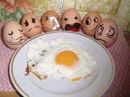 rockman on twitter funny eggs food humor funny images
