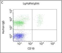 Goat serum was obtained from healthy animals of us origin and under the care of a registered application notes this conjugate is suitable for western blot, elisa and immunohistochemistry. Anti Camelid Secondary Antibodies Jackson Immunoresearch
