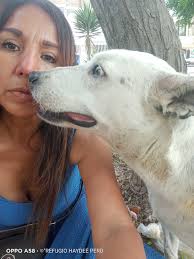 Blanquita pasará la navidad en un canil 😢 No encuentro donde tenerla y  devolverle a la chancheria ahora por fiestas es bastante riesgoso por la  pirotecnia 😢 La he publicado por todos