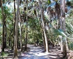 Completed in 2000, this structure is the first public treetop trail in north. Walking Through Myakka State Park And Its Canopy Walkway Golden Age Trips